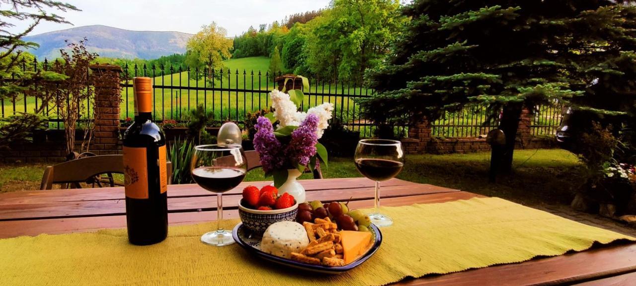 Gorski Widok Karpacz Apartamenty I Pokoje- Salon Kominkowy Exteriér fotografie
