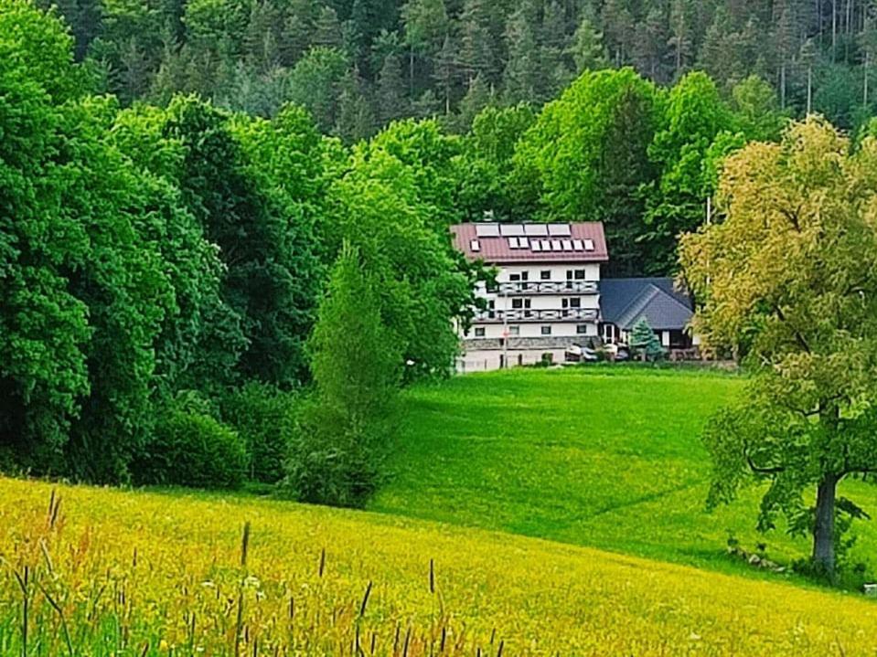 Gorski Widok Karpacz Apartamenty I Pokoje- Salon Kominkowy Exteriér fotografie